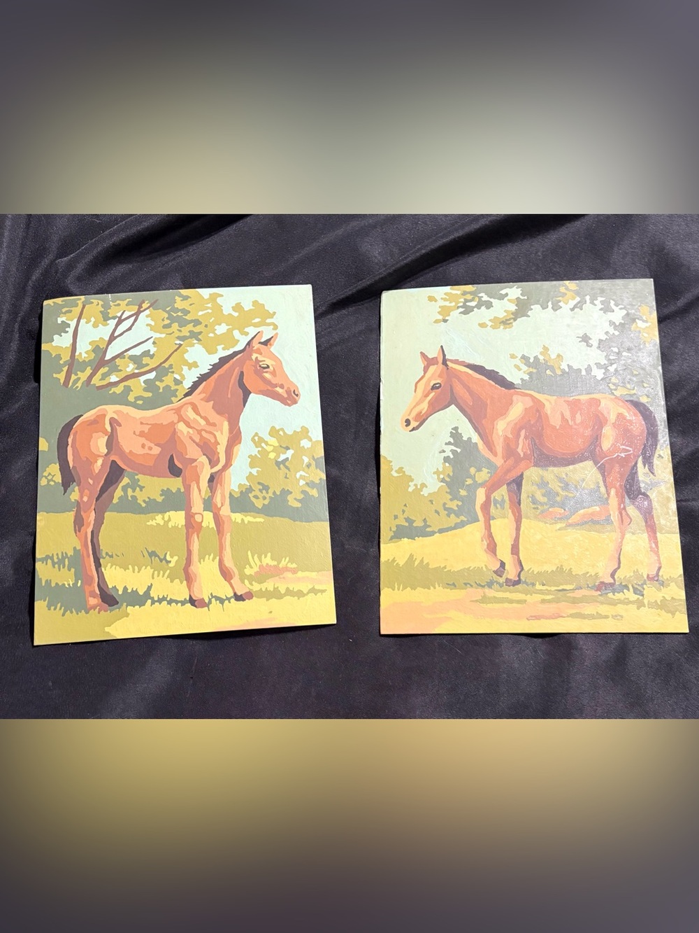 Vintage paint-by-number paintings. Horses pony. Set of 2 1960-70